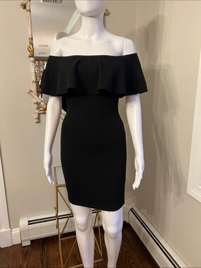 Windsor | Dresses | Carla Corset Tulle Aline Mini Dress